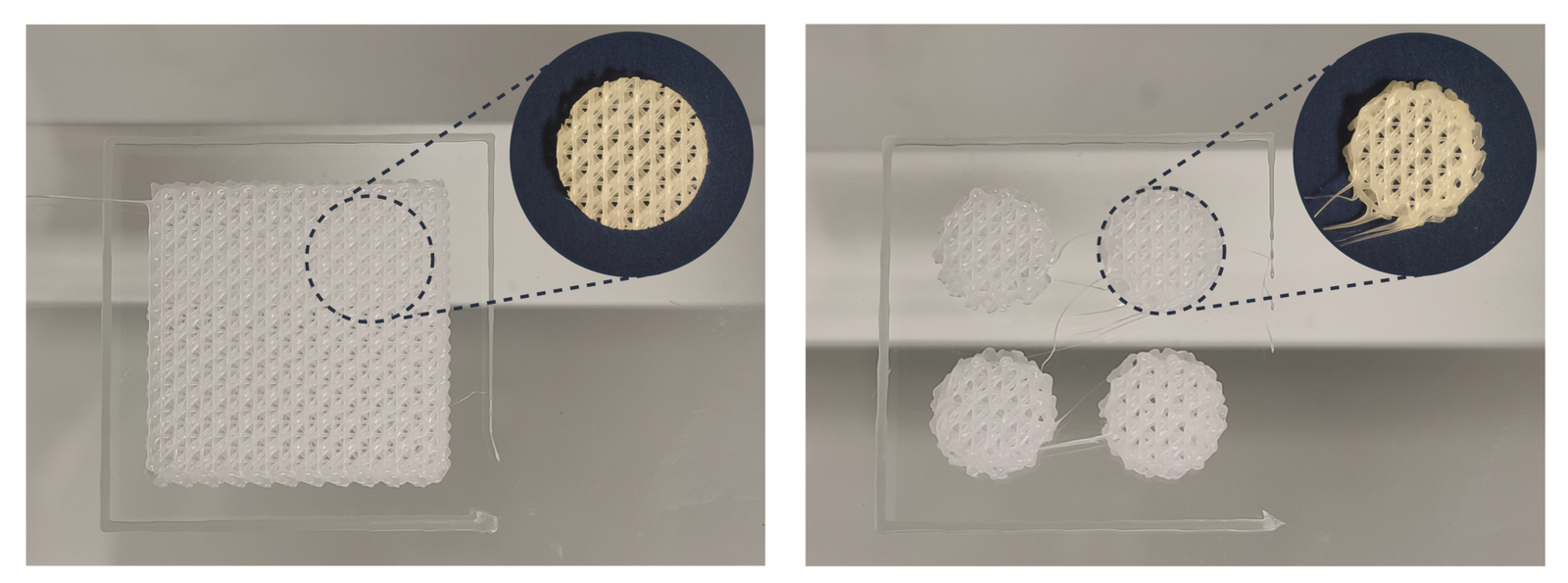 3D printing of poly(ε-caprolactone) scaffolds suitable for in vitro and ...